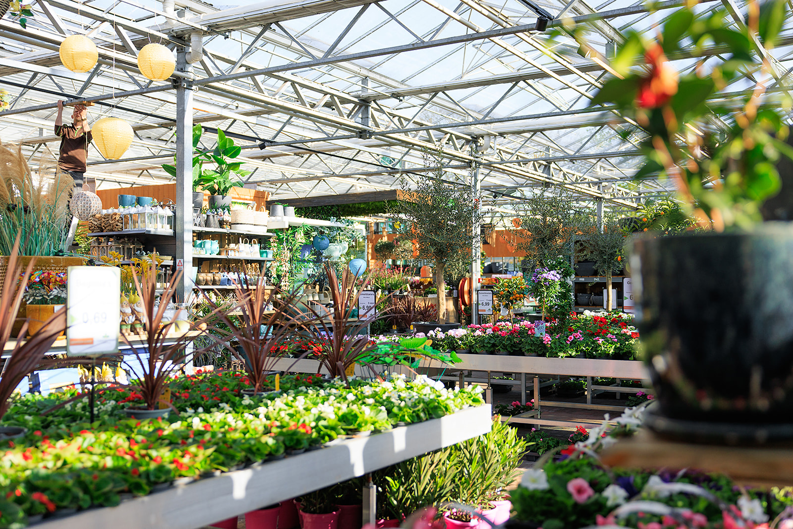Tuincentrum Ruim assortiment planten, struiken, heesters en meer- Tuincentrum ...